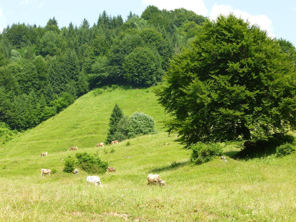 Hotel Cima D'Oro Molina di Ledro Luaran gambar
